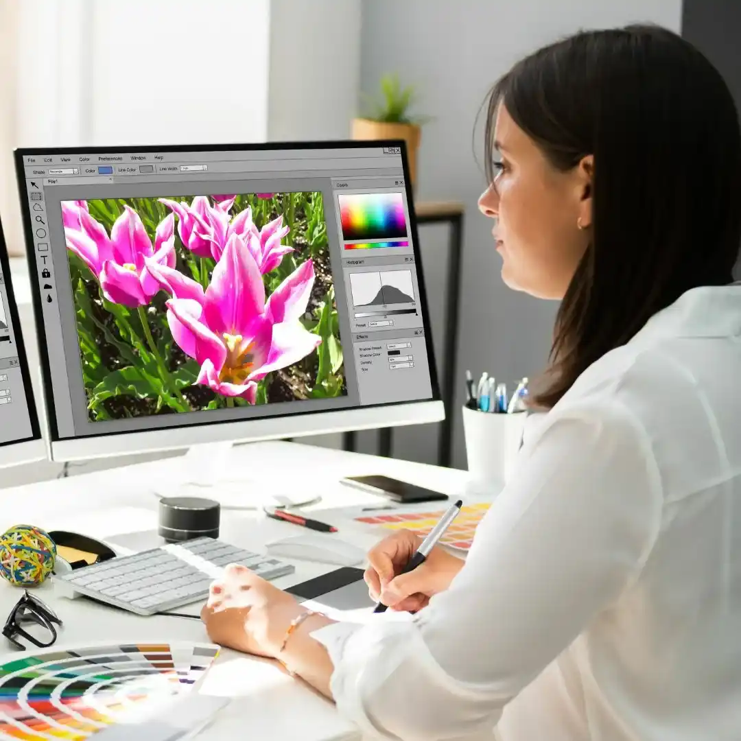 Design courses illustration